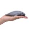 MOJO Manatee Realistic International Wildlife Hand Painted Toy Figurine